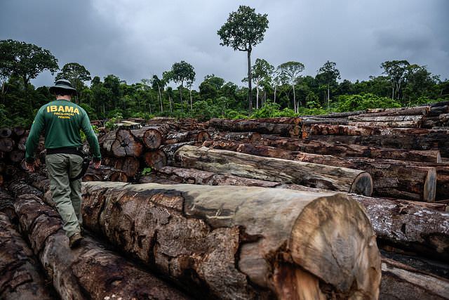 Ministério do Meio Ambiente impõe mordaça ao Ibama