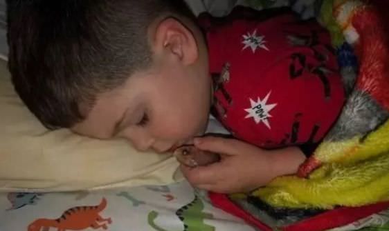 Menino tira peixe de estimação do aquário para dormir com ele