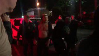 Cantor de forró é denunciado por praticar sexo com porco