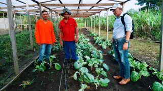 Agricultor de 22 anos se destaca na produção de hortaliças e frutas no AM