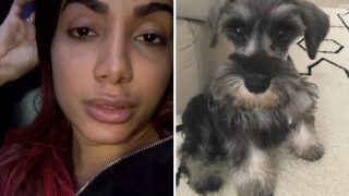 Anitta lamenta morte de seu cachorro de estimação