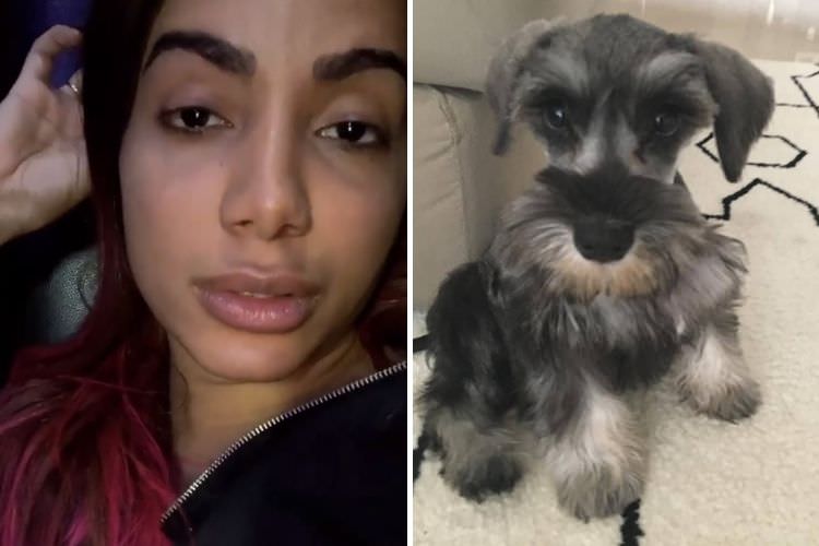 Anitta lamenta morte de seu cachorro de estimação