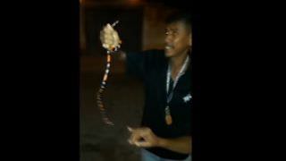 Vídeo: Homem brinca com cobra peçonhenta e morre ao ser picado