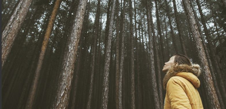 ONG organiza concurso de fotos de preservação ambiental em redes sociais