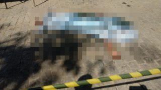 Homem é morto a facadas após chutar cão de carroceiro