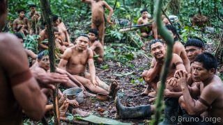 Expedição visa a proteção de indígenas isolados Korubo no Amazonas