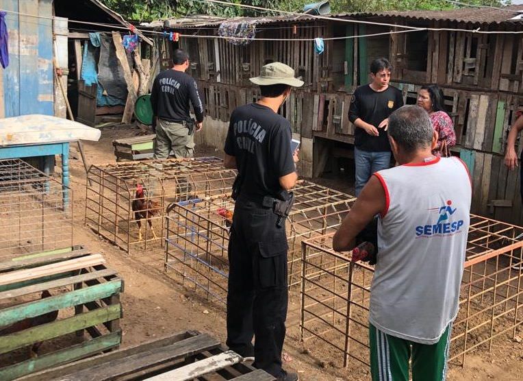 Operação conjunta desativa rinha e abatedouro clandestino