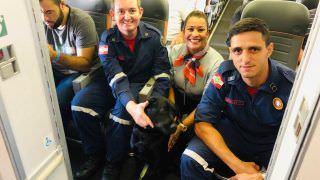 Cães farejadores que atuam em Brumadinho viajam em avião junto com bombeiros