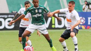 Palmeiras gerará apagão na exibição de 26 jogos do Brasileiro de 2019