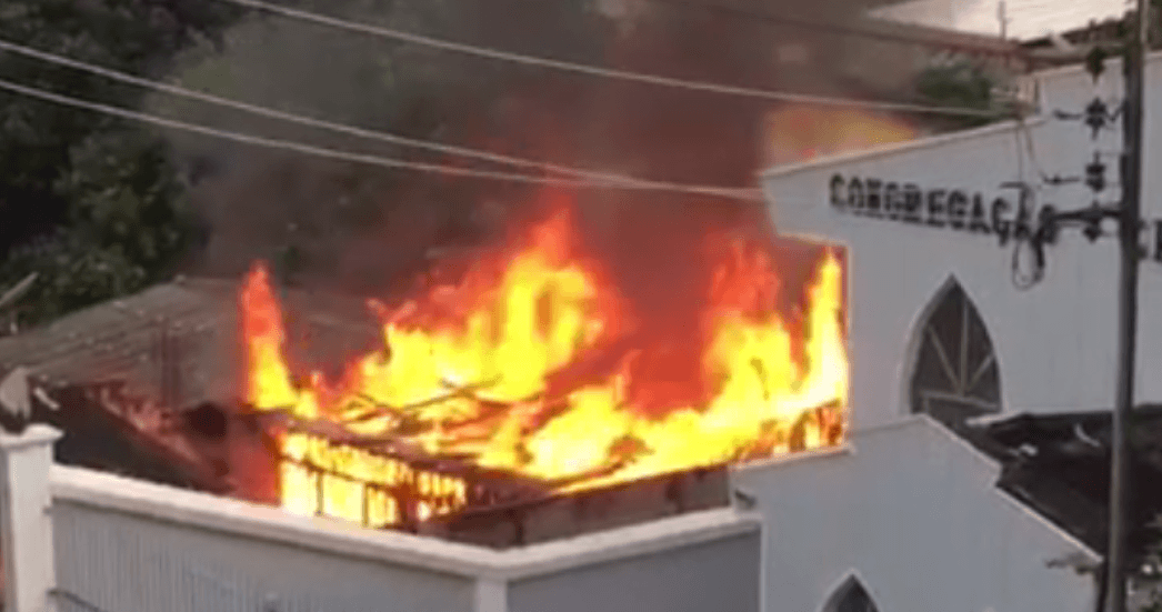 Dois cachorros morrem durante incêndio em Manaus