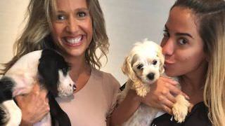Luisa Mell se revolta após cachorro de Anitta sofrer ameaças