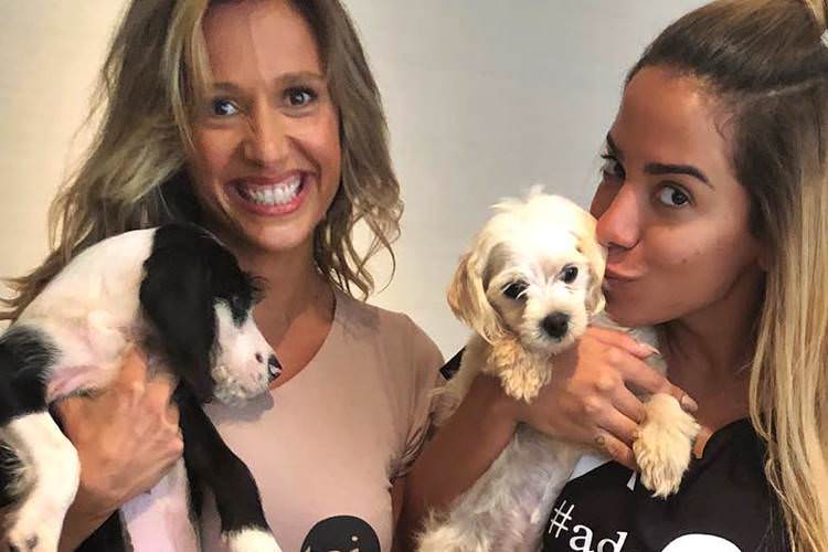 Luisa Mell se revolta após cachorro de Anitta sofrer ameaças