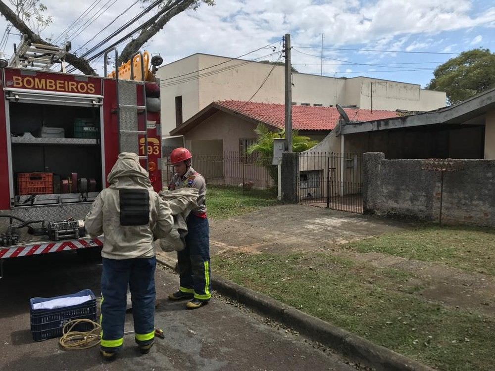 Idoso é encontrado morto em casa e bombeiros suspeitam de ataque de abelhas