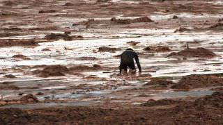 Acordo entre a Vale e Defensoria Pública cria racha na força-tarefa de Brumadinho