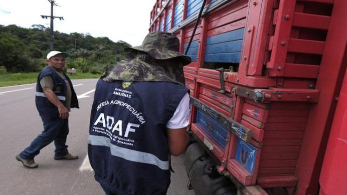 Adaf apreende 4,56 toneladas de manga na barreira de vigilância