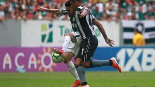 STJD anula vitória do Palmeiras sobre o Botafogo após reclamação