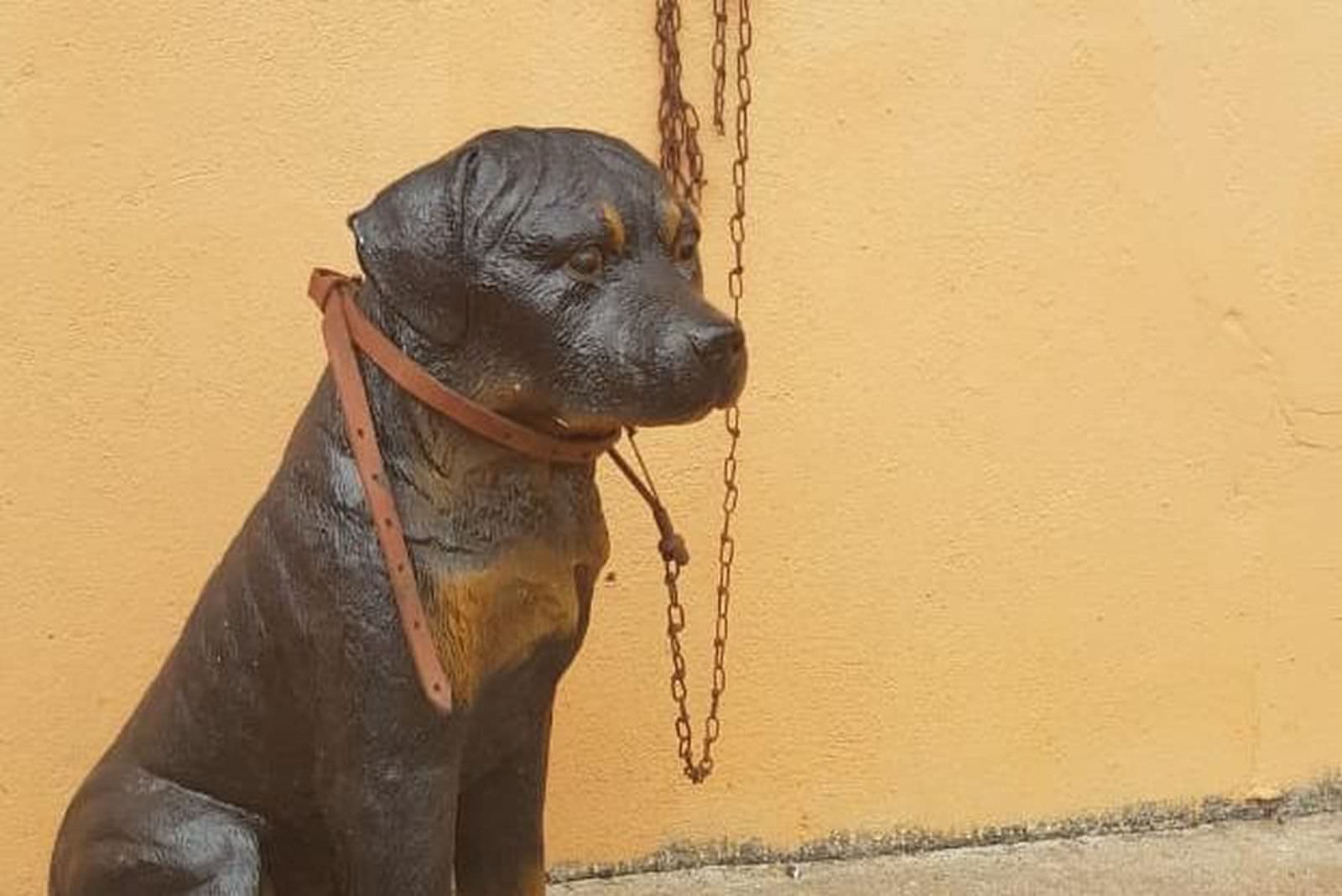 Após denúncia de maus-tratos, policial encontra cachorro de plástico