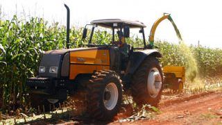 Brasil já é o segundo maior exportador mundial de milho