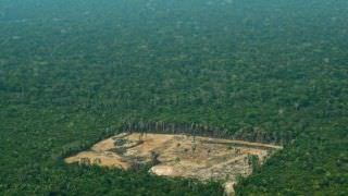 Noruega e Alemanha se posicionam contra mudanças no Fundo Amazônia