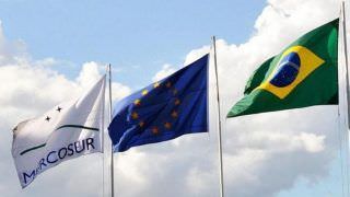 Cláusula incluída no acordo Mercosul-UE preocupa produtores brasileiros