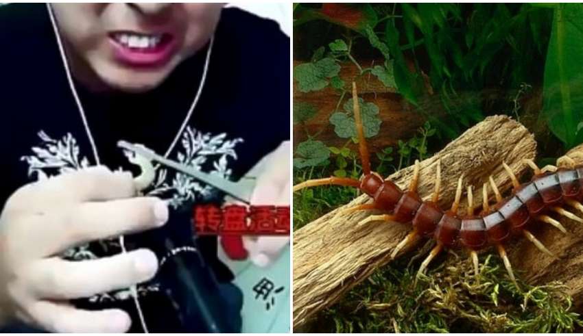 Blogueiro transmite a própria morte em desafio bizarro para ganhar seguidores