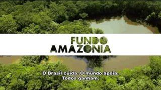 MPF investiga irregularidades na aplicação do Fundo Amazônia
