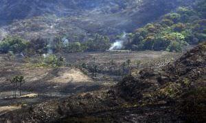 Força-tarefa do MPF apura ações de combate às queimadas no AM