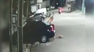 Homem espanca cachorro a pauladas após animal urinar no pneu do carro