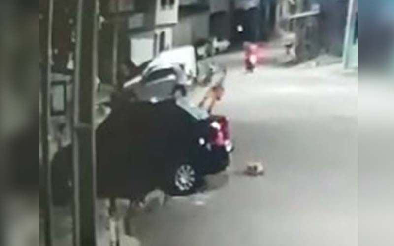 Homem espanca cachorro a pauladas após animal urinar no pneu do carro