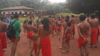 Procuradoria diz que não há indício de invasão de terra indígena Waiãpi