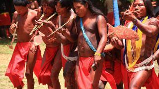 The Guardian repercute invasão de terra e morte de indígena no Amapá