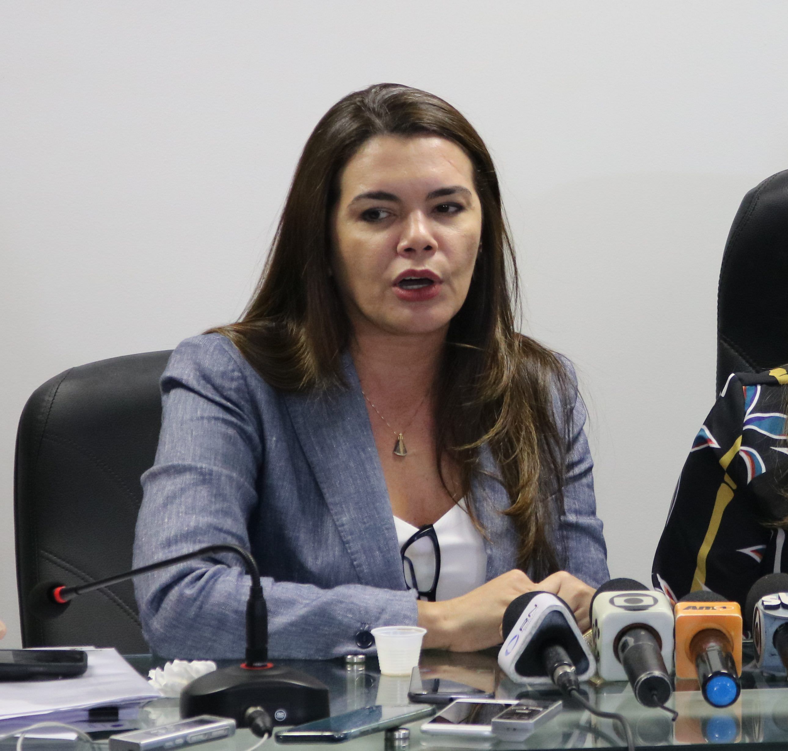 'Identificamos alinhamento de preços', diz deputada, negando cartel dos combustíveis