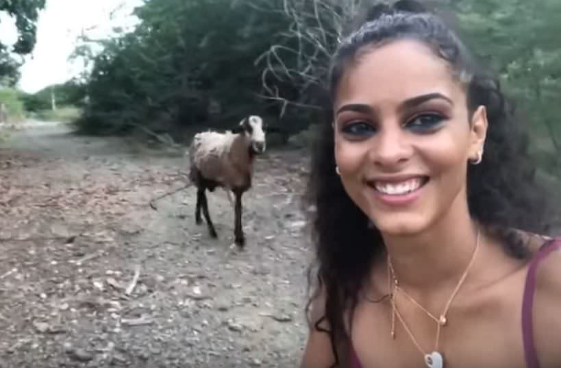Jovem leva cabeçada de bode ao tentar fazer selfie e vídeo viraliza; veja