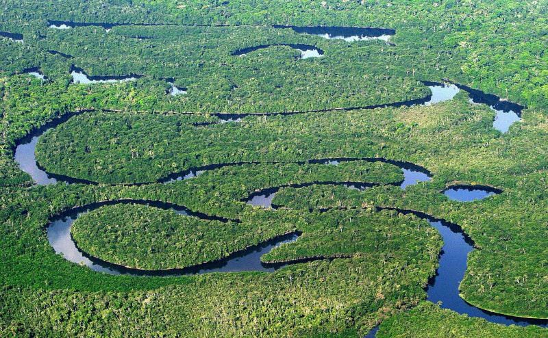Força-Tarefa Amazônia ofereceu mais de 100 denúncias em dois anos