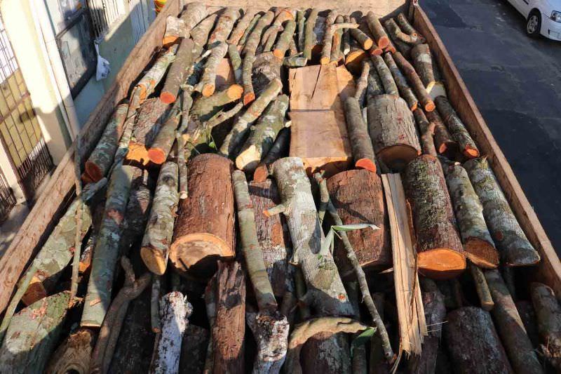 Grupo é preso desmatando área ambiental no Iranduba