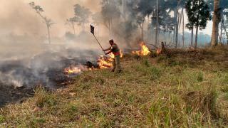 Como a Amazônia chegou a 30.901 focos de incêndio