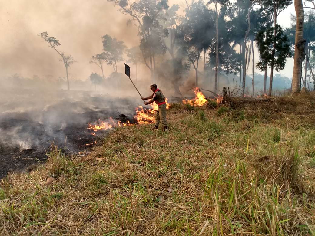 Como a Amazônia chegou a 30.901 focos de incêndio