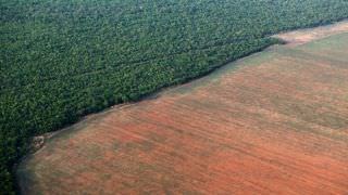 Especialistas lamentam o bloqueio alemão em favor da Amazônia