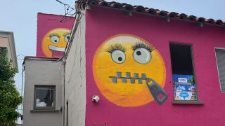 Casa com pintura de emojis provoca polêmica