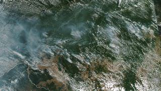 Fumaça de queimadas no Amazonas já é visível por satélite da Nasa