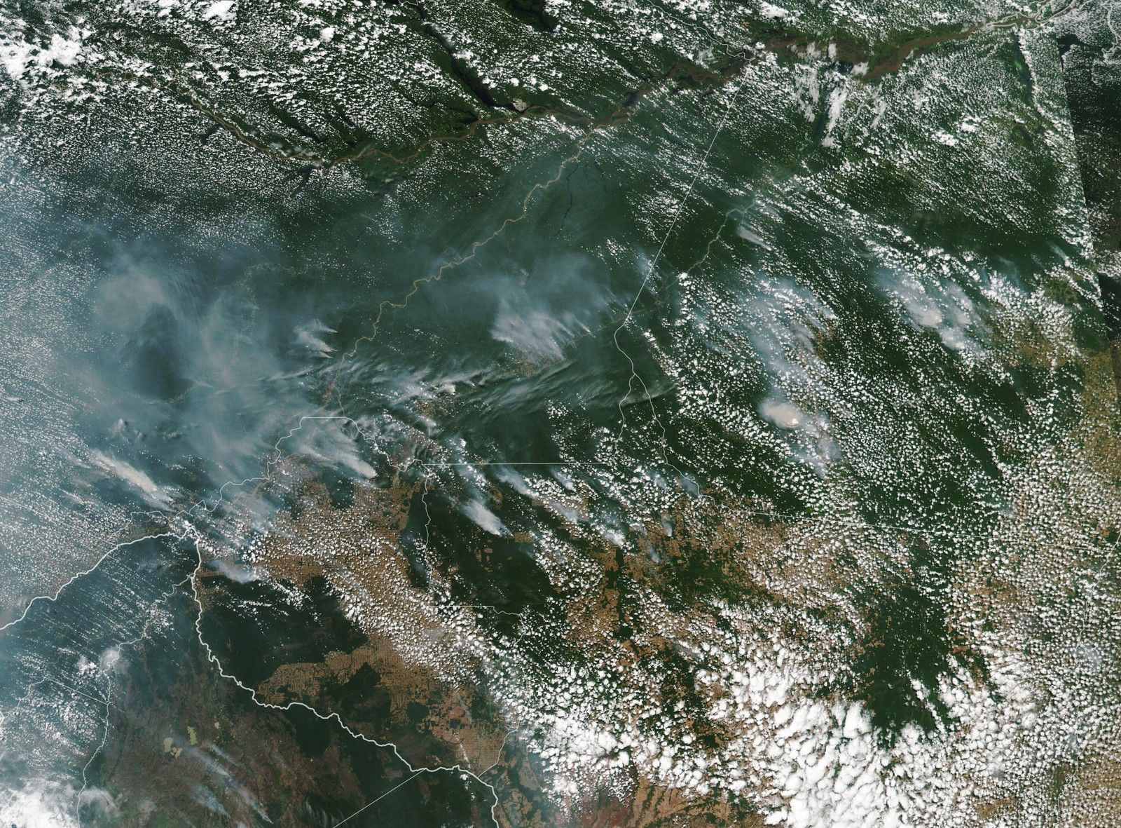 Fumaça de queimadas no Amazonas já é visível por satélite da Nasa
