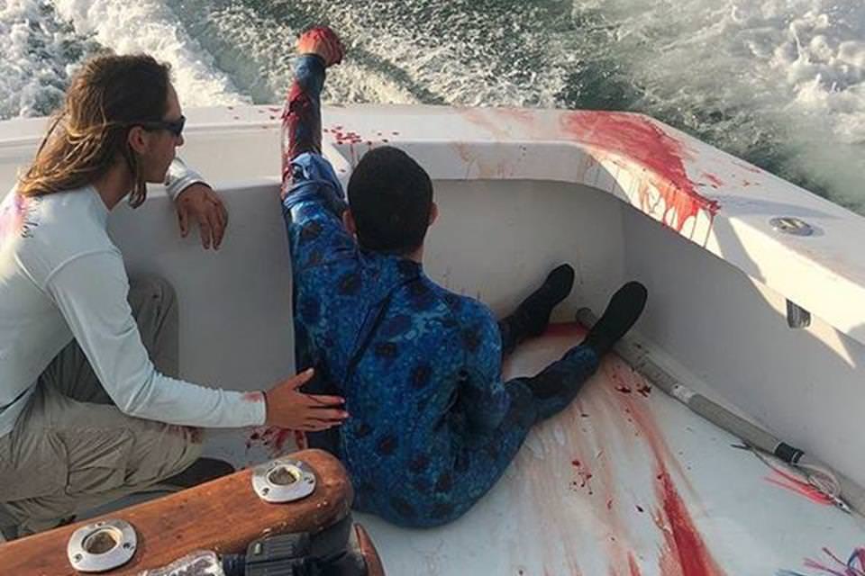 Vídeo: mergulhador é atacado por tubarão e pede socorro a pescadores