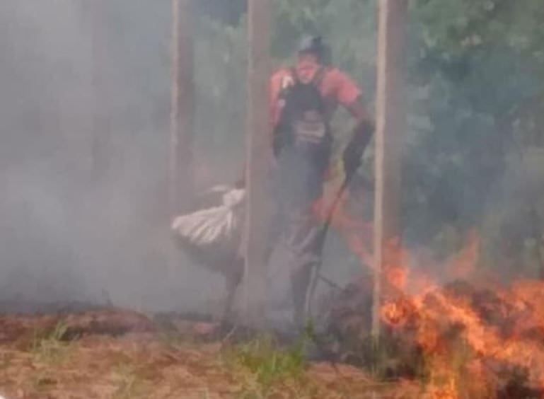 SSP esclarece boato de homem pago para queimar mata na estrada AM-070