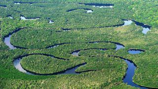 Força-Tarefa Amazônia ofereceu mais de 100 denúncias em dois anos