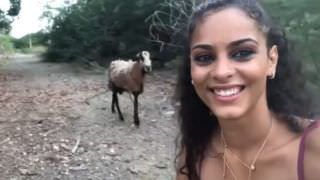 Jovem leva cabeçada de bode ao tentar fazer selfie e vídeo viraliza; veja