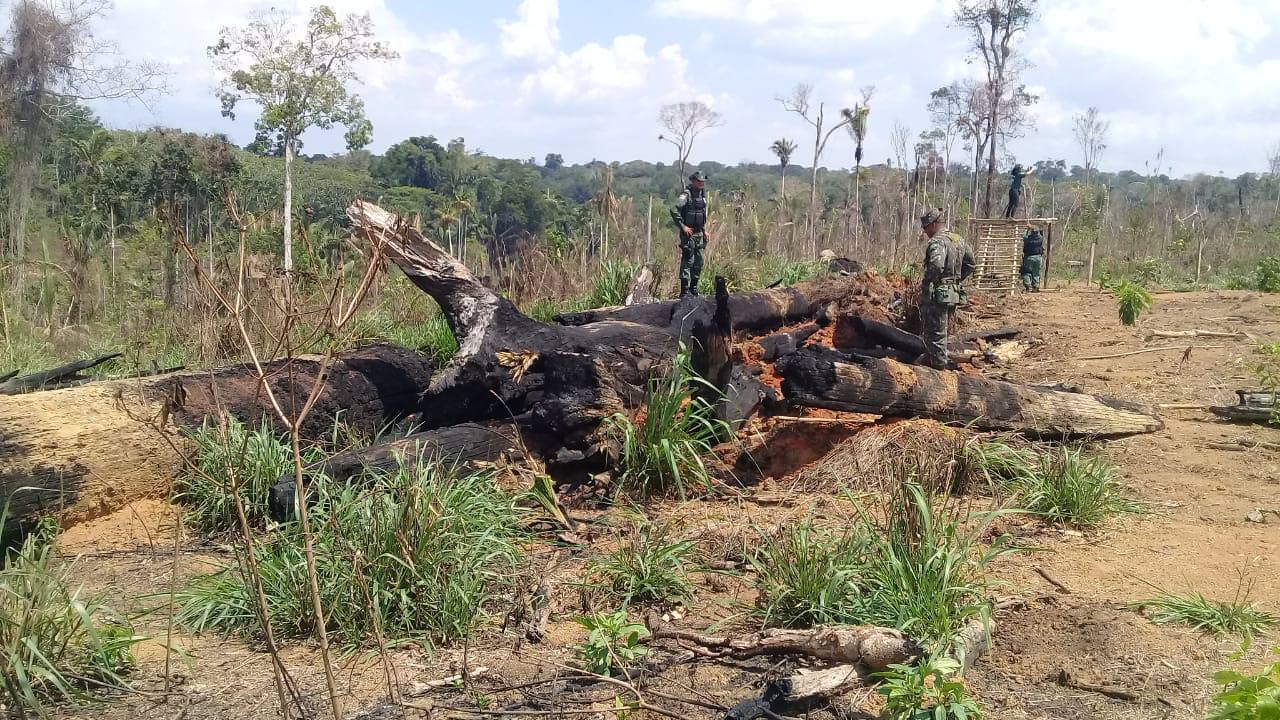 Operação embarga mais 1,6 mil hectares de terra no Sul do Amazonas