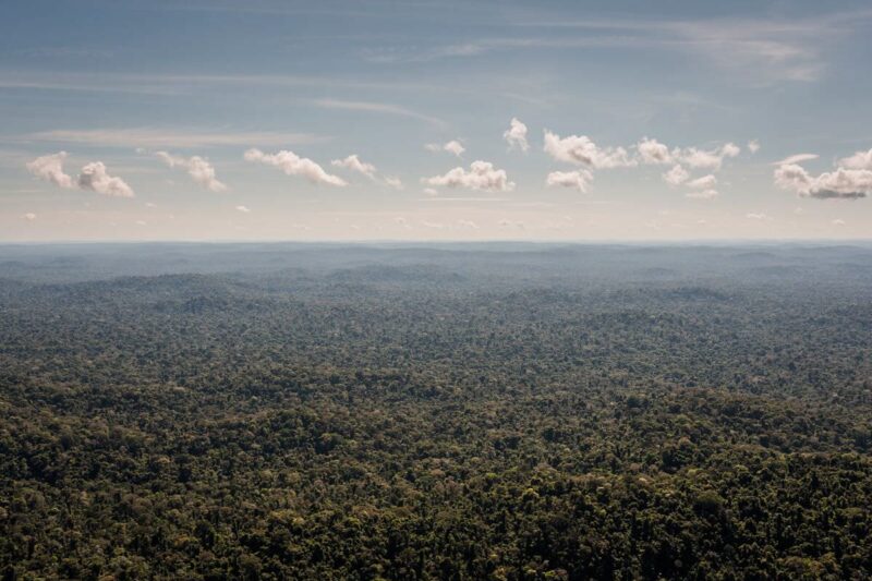 Relatório aponta assassinatos e impunidade na Amazônia