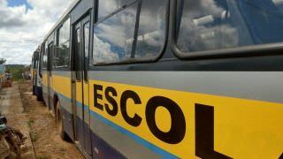 PEC transfere para municípios a gerência do transporte escolar