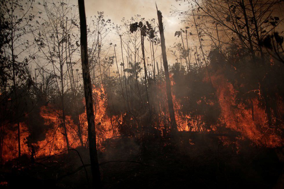 Alta de queimadas no Pantanal supera à da Amazônia