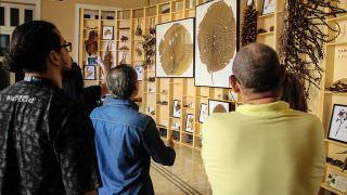 Primavera dos Museus reúne atividades gratuitas em Manaus